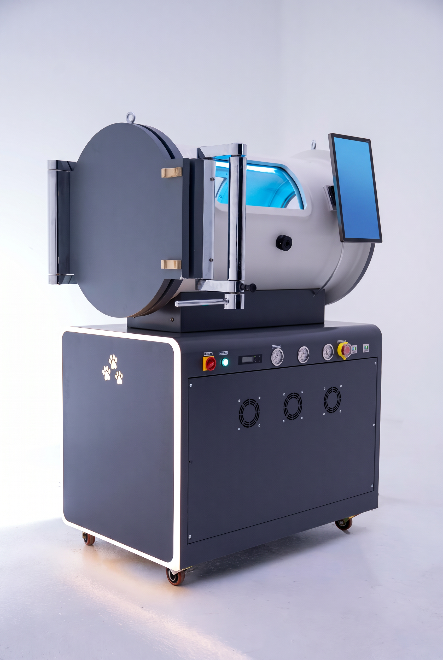 Pet hyperbaric chamber and control console